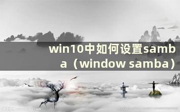 win10中如何设置samba（window samba）